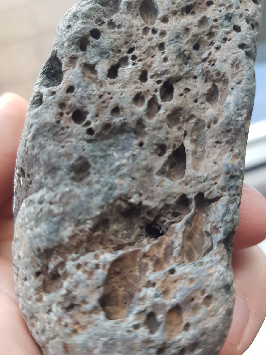 mlcr0d0t's tweet photo. #RocksAtHome can anyone me what this is? All I know is that it looks vesicular so I'm guessing igneous - possibly basalt? What are all the white dots? https://t.co/Gbehrqs0SP