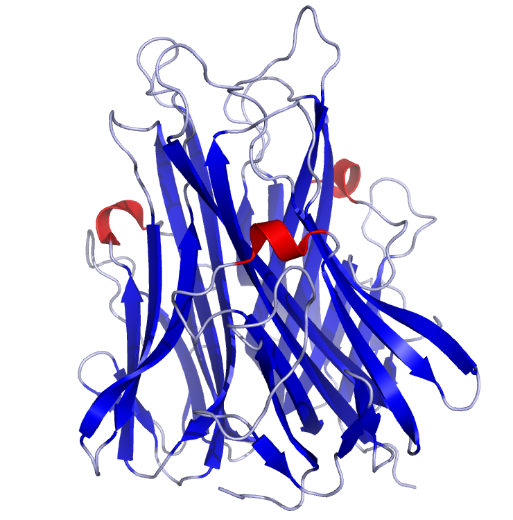 Cytokines are a group of chemical mediators [interleukins(IL), interferons (IFs), Tumor necrosis Factors (TNFs)] produced by specific immune cells to produce a response, namely to kill affected cells and to protect to the host.In COVID, the mediators are Il-1, Il-6 & TNF-alpha