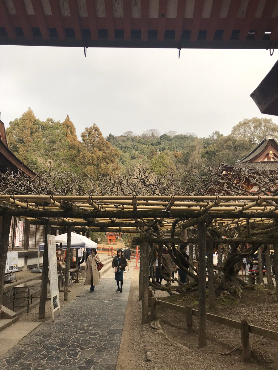 Nara - cette toute petite ville comparée aux deux autres rassemble 2 trucs : c’est la ville la plus ancienne du Japon... (la portée de la dernière photo date de 700, et le festival qui s’y tient chaque année de 1200 environ)