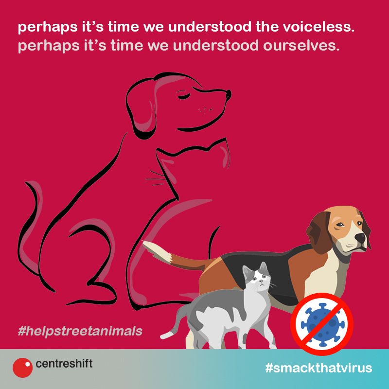Centreshift_cs's tweet photo. Stray animals need food, care, and affection too. How can we help stray animals?
Suggestions required!
#strayanimals #indiafightsbackcorona #helpvoiceless #helpstreetanimals #smackthatvirus #Covide19 #AnimalRights #animals #animallovers #helprequired #coronavirusinindia https://t.co/C9SuqaVHlG