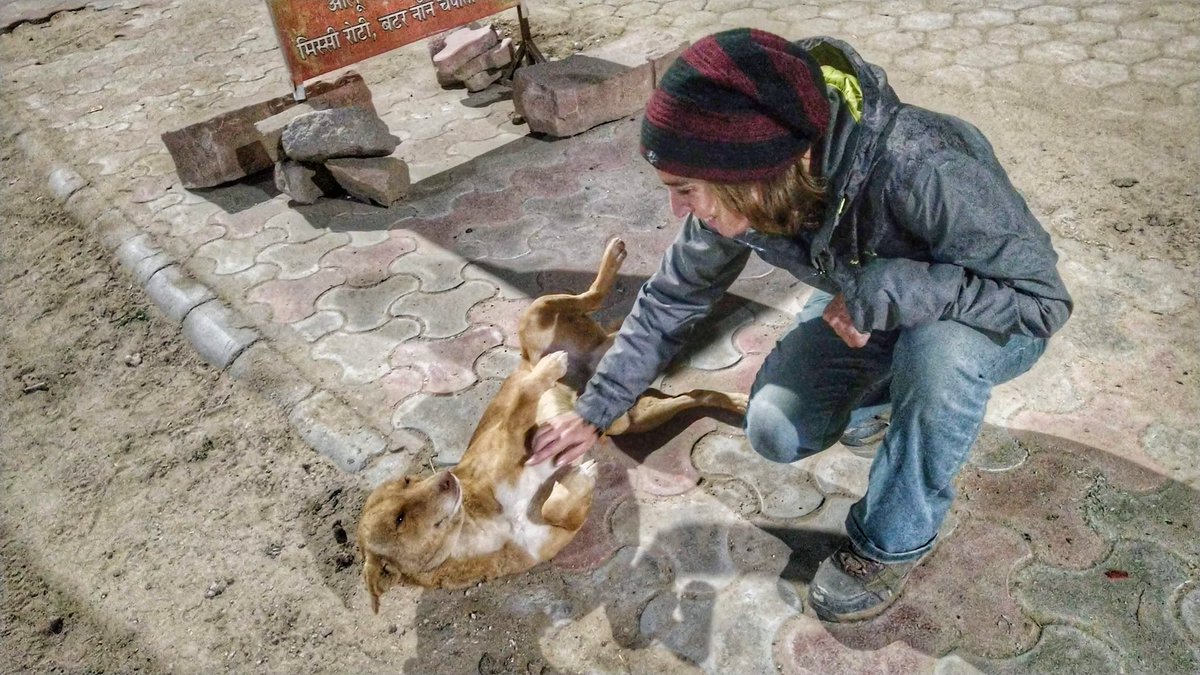 rosekasili's tweet photo. Street dogs are very misunderstood. They have so much love to give.❤️ Flashback from India #love #doglover #streetdog #bethechange #adopt #savethestreetdogs https://t.co/HviAgHAFAs