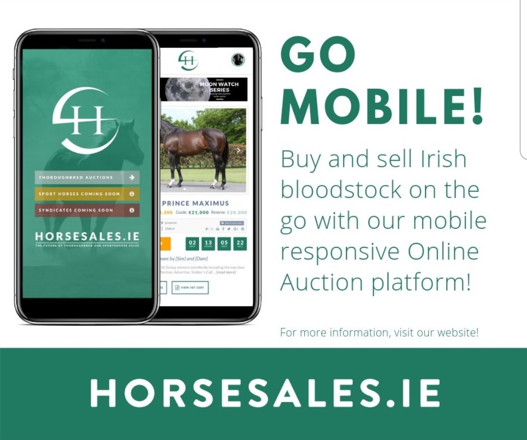 horsesales.ie are offering an alternative online solution to help the industry survive in these difficult times. Contact us for more information.
@BrzUps @starbloodstock @BanshaHouse @grovestud @Lackendarra_stb @JohnCullinan18 @Goffs1866 @ardglasstables @bloodstocknews