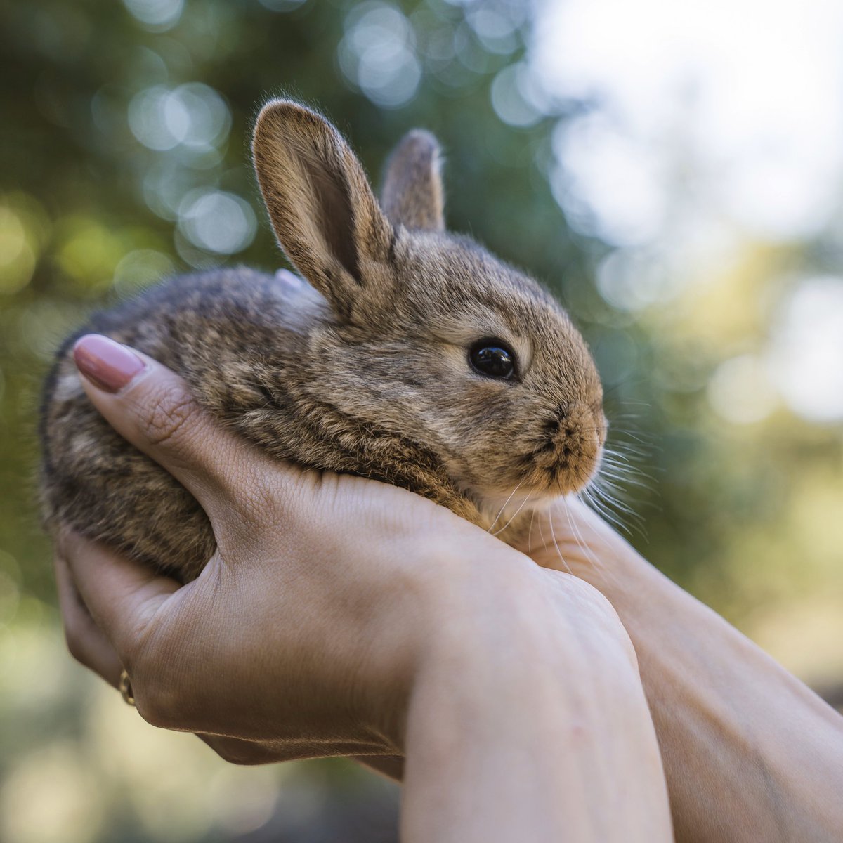 Hope everyone is having a lovely Easter Weekend! We’re lucky to be spending ours with bunnies while on lockdown here in Portugal! 🚐🐰🇵🇹 Sending you love 💛 #EasterBunny #Bunny #EasterMonday #Vanlife