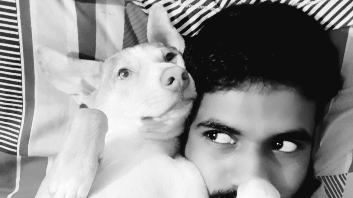 Your entire family’s home, your children are at home, you’re getting work done in whatever profession you’re in, but at home. There’s no better time for you to get attached to a furry little friend and there& #39;s no better time for that friend to grow up at home, than RIGHT NOW.