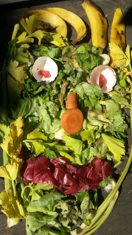 Compostons tweet media