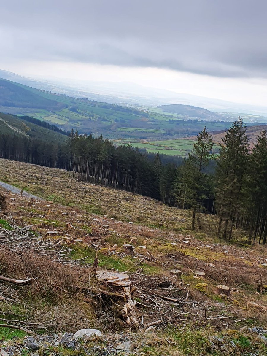 Will Power tweet media