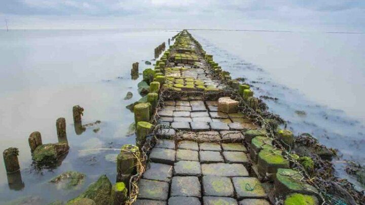 Ramasamy& #39;s team dates the structure to 3,500 years. In the same study, carbon dating of some ancient beaches between Thiruthuraipoondi and Kodiyakarai shows the Thiruthuraipoondi beach dates back to 6,000 years and Kodiyakarai around 1,100 years ago.
