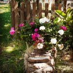 Photo by Alquería María Llistar - Planta I Cull (@plantaicull)