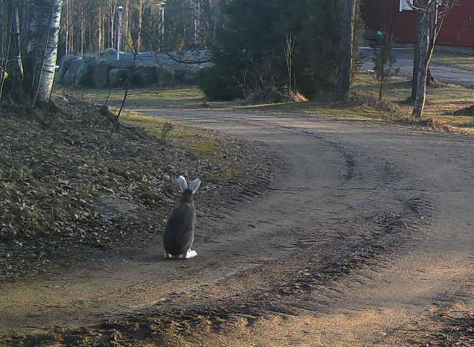 Day 6/7 #mylifeinpictures. Rules: No words, no people. Challenge new person every day.  Challenged by 
<a href="/parastaennenPS/">Parasta ennen Pohjois-Savo</a>
. We challenge <a href="/Saimaanmediake1/">Saimaan mediakeskus</a>