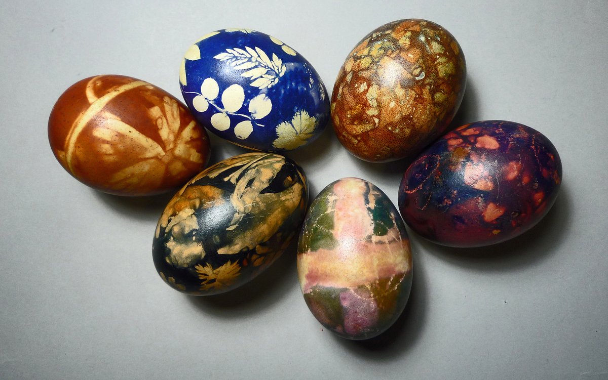 Judy Rudoe tweet media