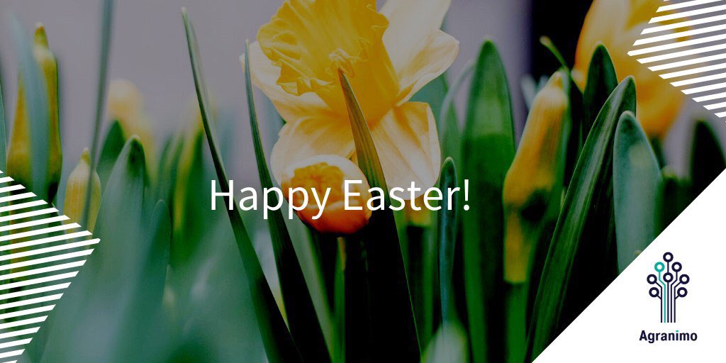 Agranimo (@agranimo) on Twitter photo 