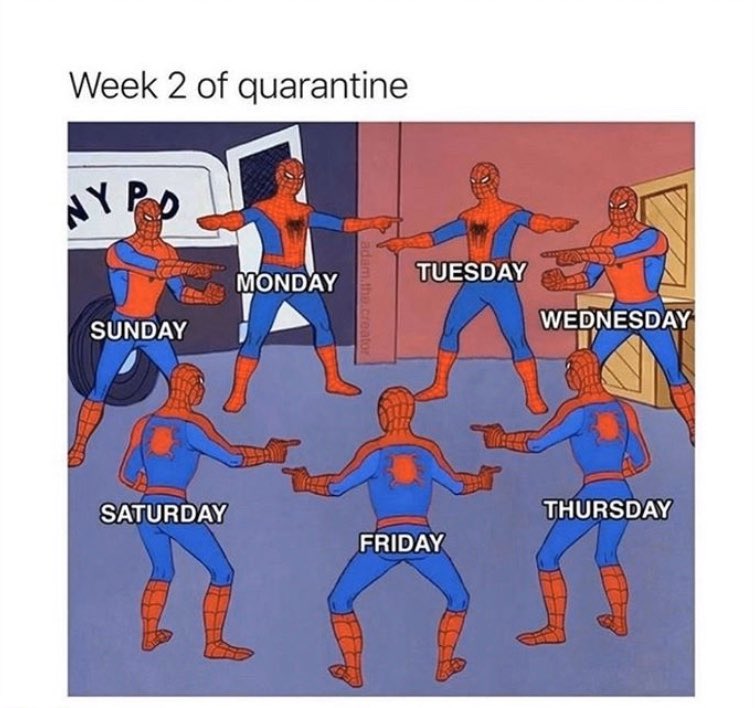 StudentTips4's tweet image. 🤦‍♂️😆 #student #studentlife #lockdown #COVID19 #QuarantineLife