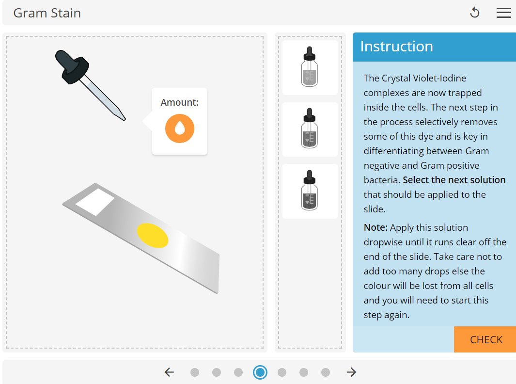 LearnSciHQ's tweet photo. Resource spotlight! Gram stain

In this resource, students learn about and work through the process of differentiating Gram negative and Gram positive bacteria, and predict the impact of common errors.

Available in our bioscience library https://t.co/ZqvpI6Pxhb #BioEd #HESTEM https://t.co/h7QMEOC84G