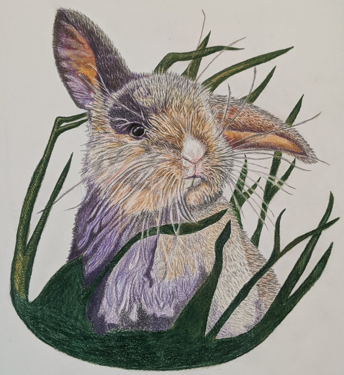 Progress update on this 🐇
I have to admit, I'm struggling with this drawing
#wip #rabbitart #bunnyartwork #easterbunny #workinprogress💪 #polychromospencils #artistofinstagram #artdailydose #nurserydecor #nurseryprint