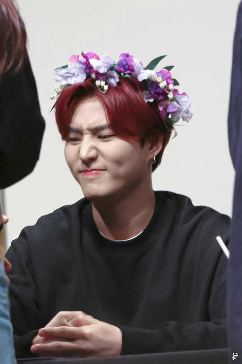 ㅡ purple flower crown 