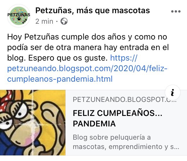 petzunas's tweet photo. #dogsgrooming #mascotas #peluqueriacanina #peluqueriacaninamovil #peluqueriacaninaadomicilio #madrid #madridperiferia 
#dogs #puppy #cute #dogs_of_instagram #pets #petstagram #dogsitting #dogsofinstagram #ilovemydog #instagramdogs #dogoftheday #lovedogs #doglover #petzuñeta https://t.co/vCu4Jsor1K