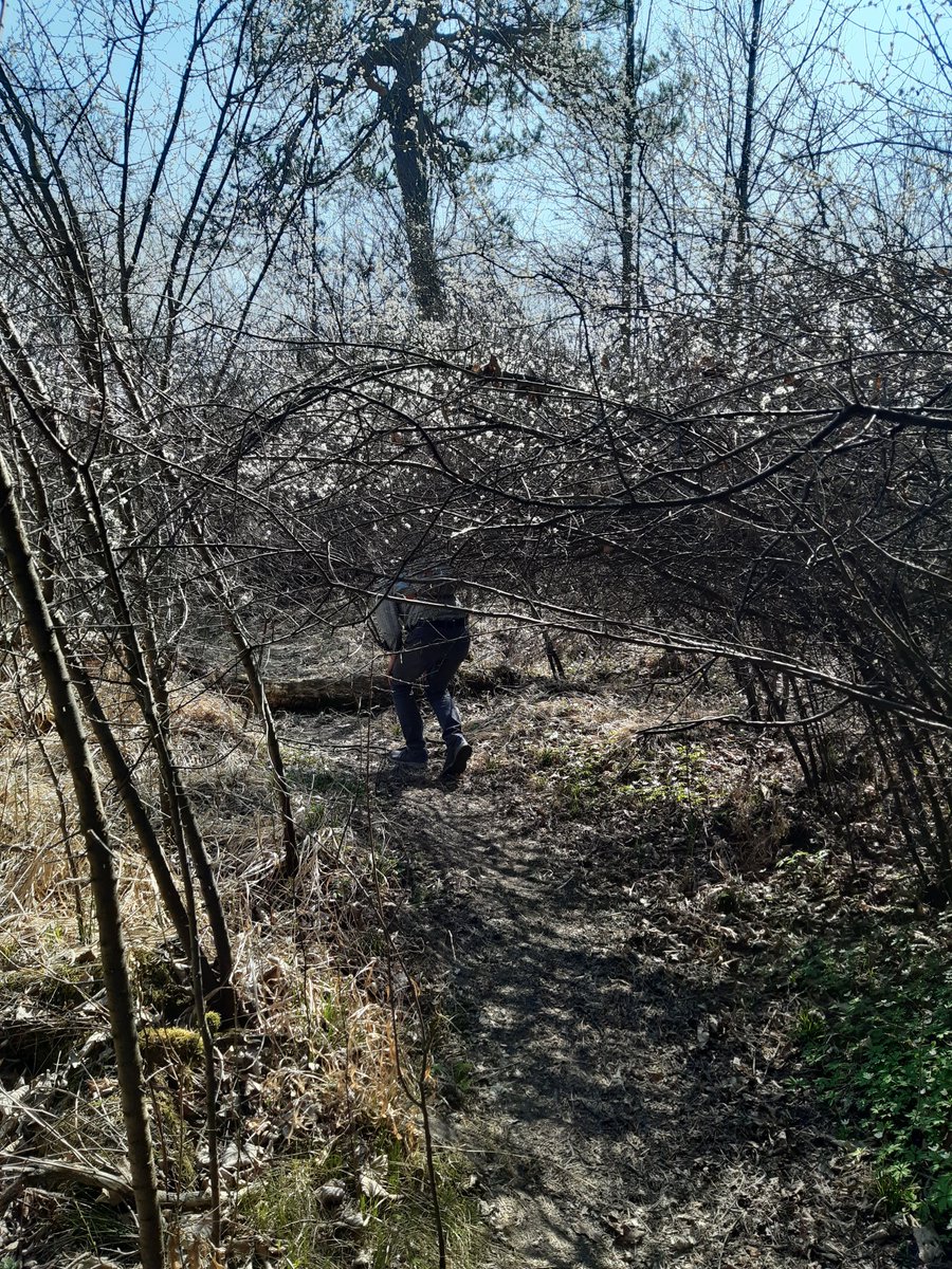 Geht schon. Da kommen wir durch. Froher Ostermontag!