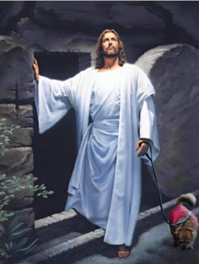 netmy1's tweet photo. Se Gesù fosse vissuto ai nostri tempi! Ahahahaha!

If Jesus had lived in our times! Ahahahaha!

#restoacasa #restiamoacasa #lontanimavicini #stayathome #easter #HappyEaster #HappyEaster2020 #buonapasqua2020 https://t.co/5EFJueZ26u