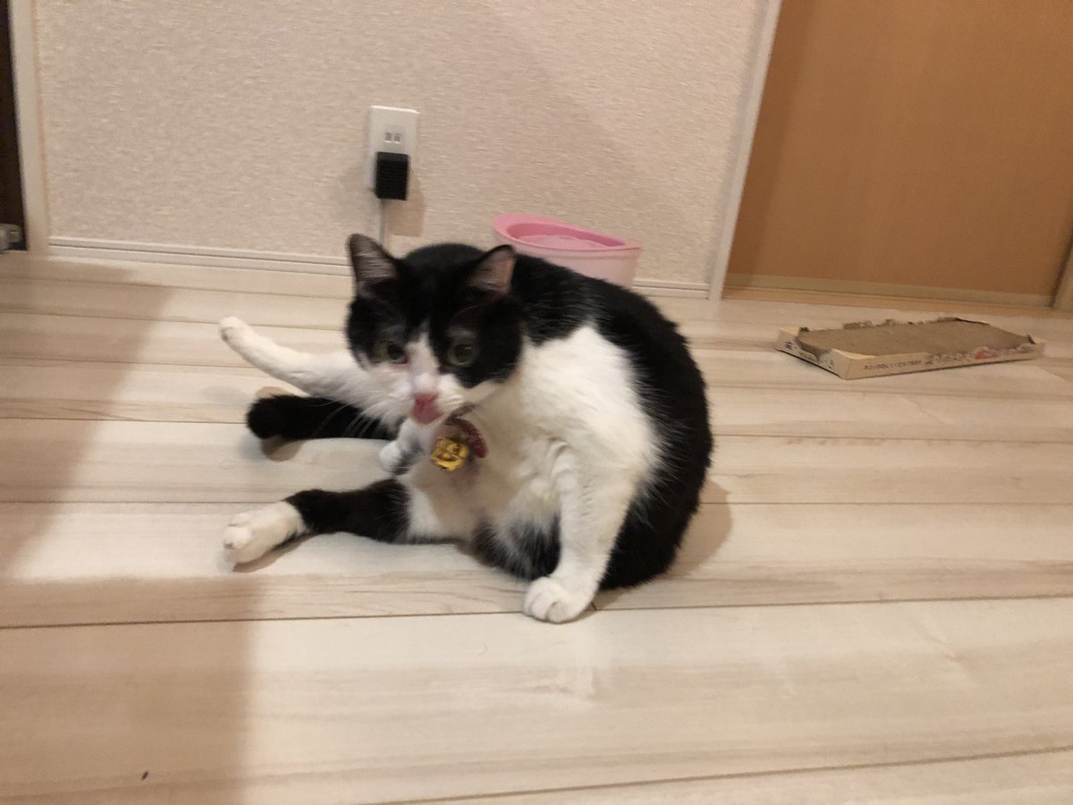 ミルヒー