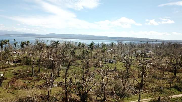 smoses96's tweet photo. Malo looks somewhat brown and will continue to grown brown unless it rains.
#cyclonerecovery
#tcHarold https://t.co/JFMgRovPS2