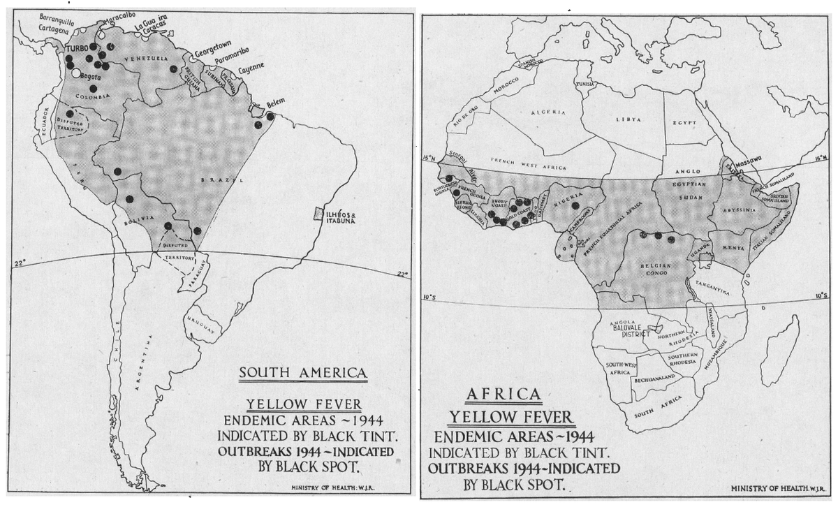 Delineating endemic areas and standardizing vaccines was one of the first duties of the new United Nations Relief & Rehabilitation Administration after 1944. Mass vaccination campaigns across Africa and Latin America cut global death rates down to c. 30,000 annually. w00t! (23/n)