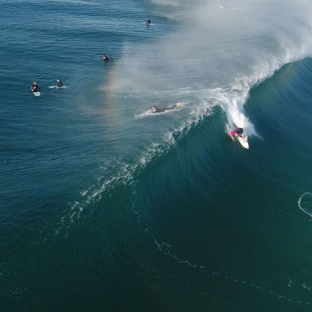 Julian Wilson tweet media