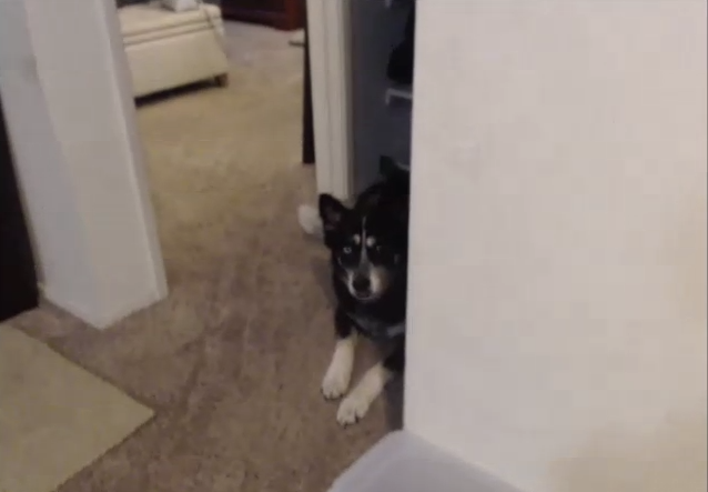 Watch jackandjillfans's leaked NSFW photo on TwXstars