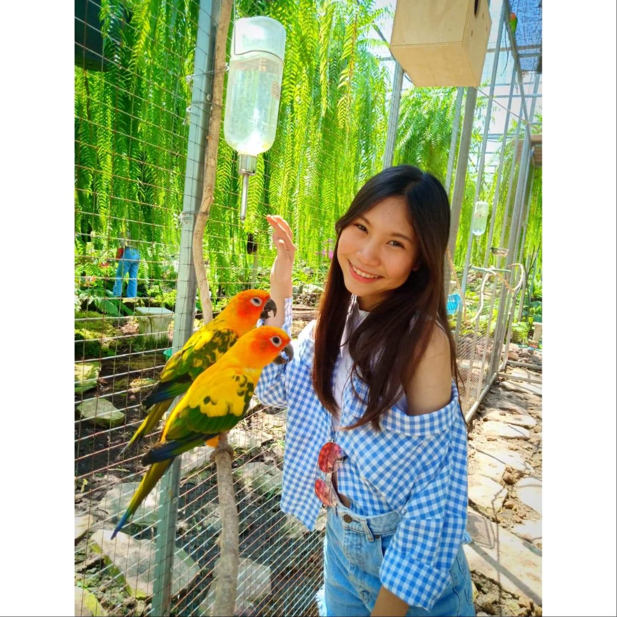 Pnewzii_🌬️💗 tweet media