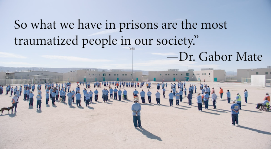 Teddy Zareva tweet media