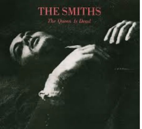 Gillian Nelis tweet media