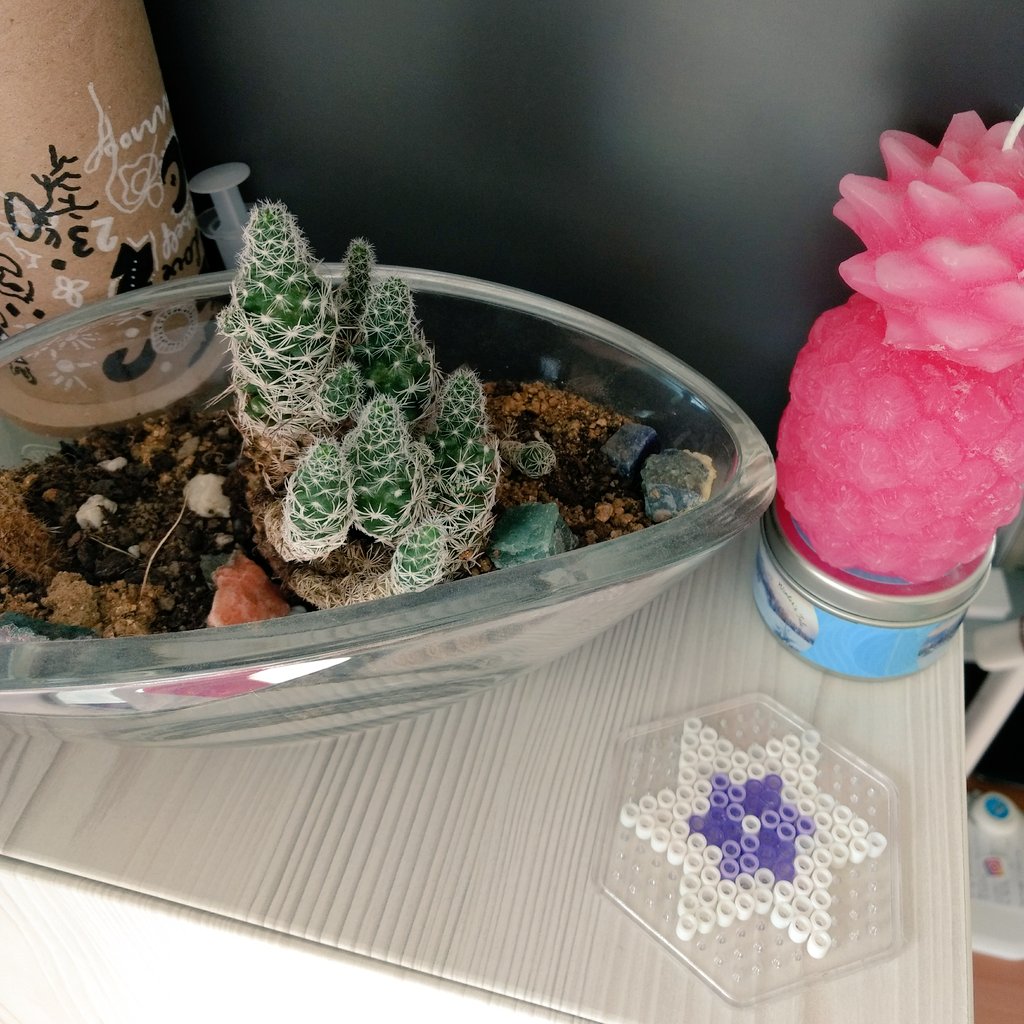 DTheth's tweet photo. @BTS_twt I love my plant friends! 😆🌵 https://t.co/bJIevd10sm