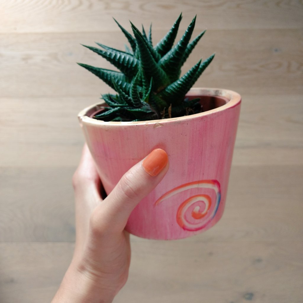 DTheth's tweet photo. @BTS_twt I love my plant friends! 😆🌵 https://t.co/bJIevd10sm