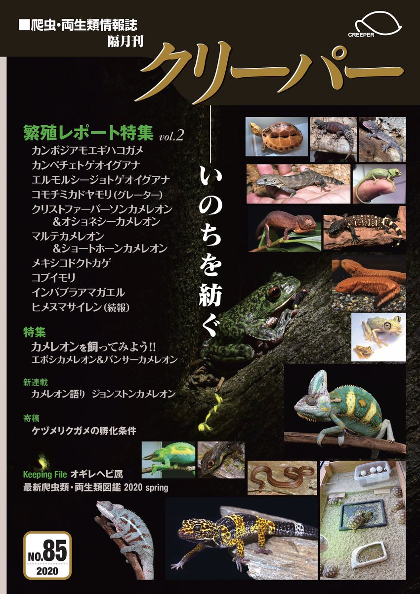 爬虫類両生類情報誌　クリーパー　2号 爬虫類両生類情報誌 クリーパー 2号