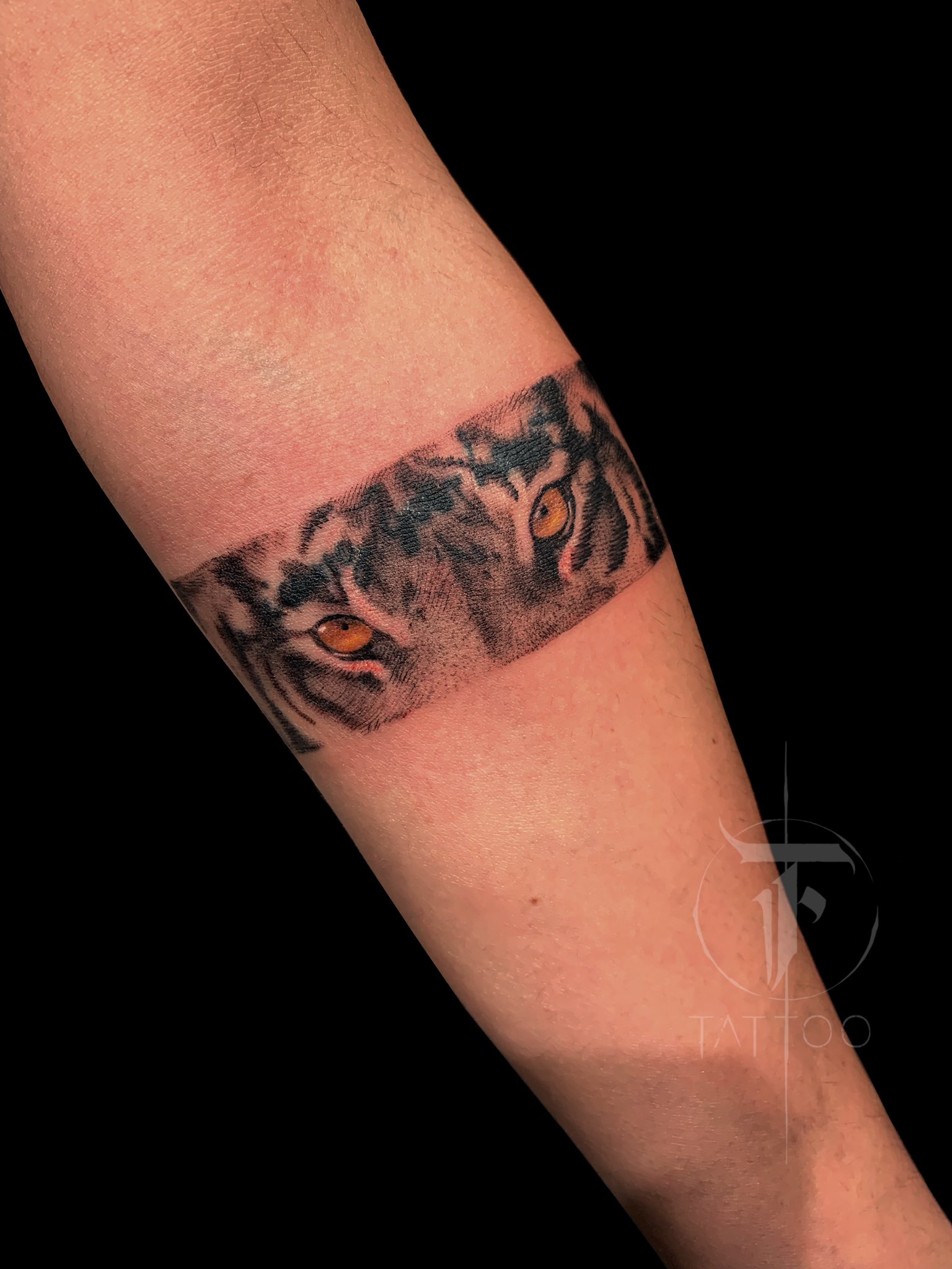 Tigerarmbandtattooby abhishek natattoostudio new delhi