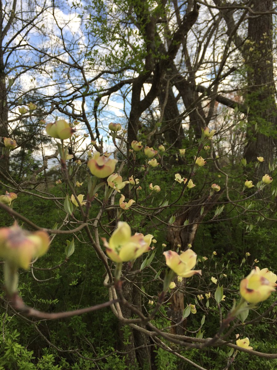 MeganAtthowe's tweet photo. Celebrate the magnificent little things. https://t.co/tNFPR21P4T