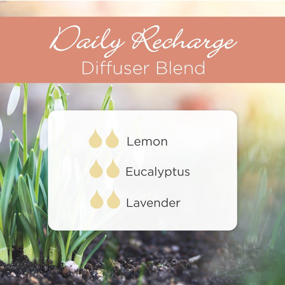 _earthluxe's tweet photo. We're all for blending essential oils to create he perfect scent.
Need an extra boost in your day⚡?
Try blending Lemon💛 Lavender💜 and Eucalyptus💚
What's your favourite blend? #indulgewithEL https://t.co/WLZ0l9himO