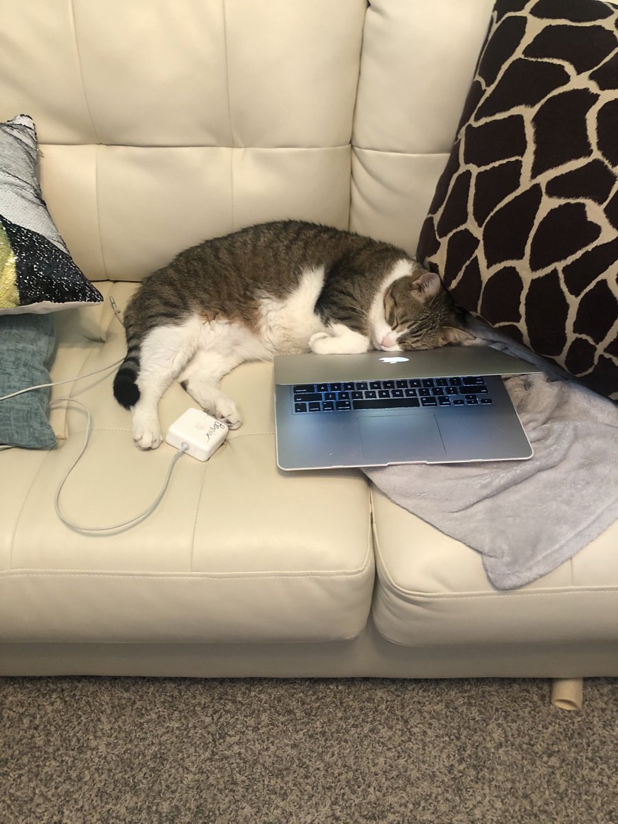 Brady Baxter tweet media