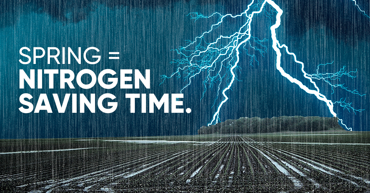 Nikki Hall tweet media