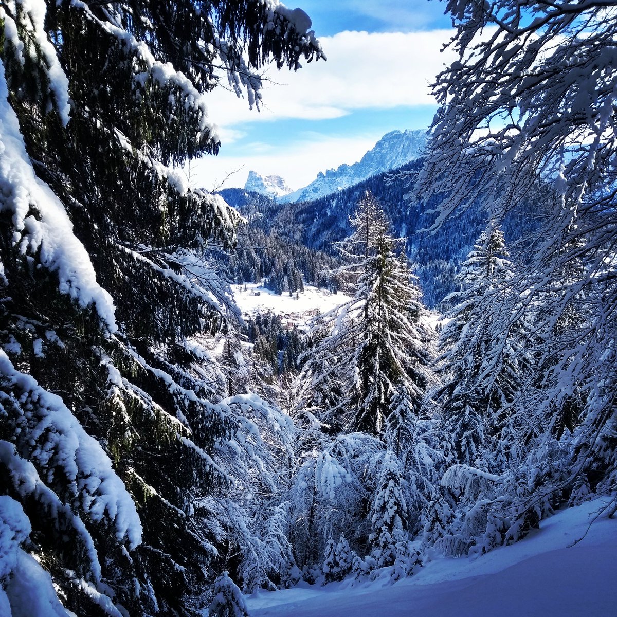 DolomiticXp's tweet photo. April Last year. More memories of a huge snowfall...the beautiful couple of Civetta and Pelmo covered in white.. such a lovely day. Soon fellow adventurers, soon!
•
#dolomites #dolomitibellunesi #falcade #winter #hiking #mountains #mountainwomen #winterwalks #italianstyle https://t.co/kUE0Fq8dUZ
