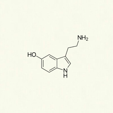 𝒀𝑶𝑼𝑹 𝑰𝑴𝑨𝑮𝑰𝑵𝑨𝑻𝑰𝑶𝑵

                                     . . .

                                           𝑰𝑺 𝑻𝑯𝑬 𝑶𝑵𝑳𝒀 𝑳𝑰𝑴𝑰𝑻