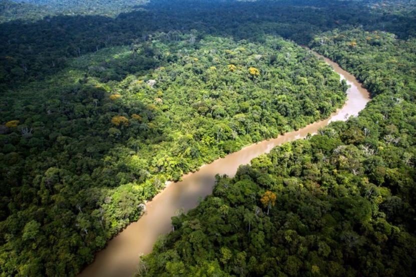 - La foret Amazonienne Lieu: Guyane, Amérique du sud
