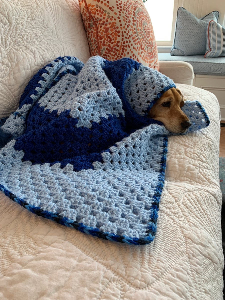 BeagleViolet's tweet photo. Stormy day very windy no swimming today ! Hiding under my blanket . #beagle #beagle facts # nervous beagle https://t.co/6EFfHfW0xt