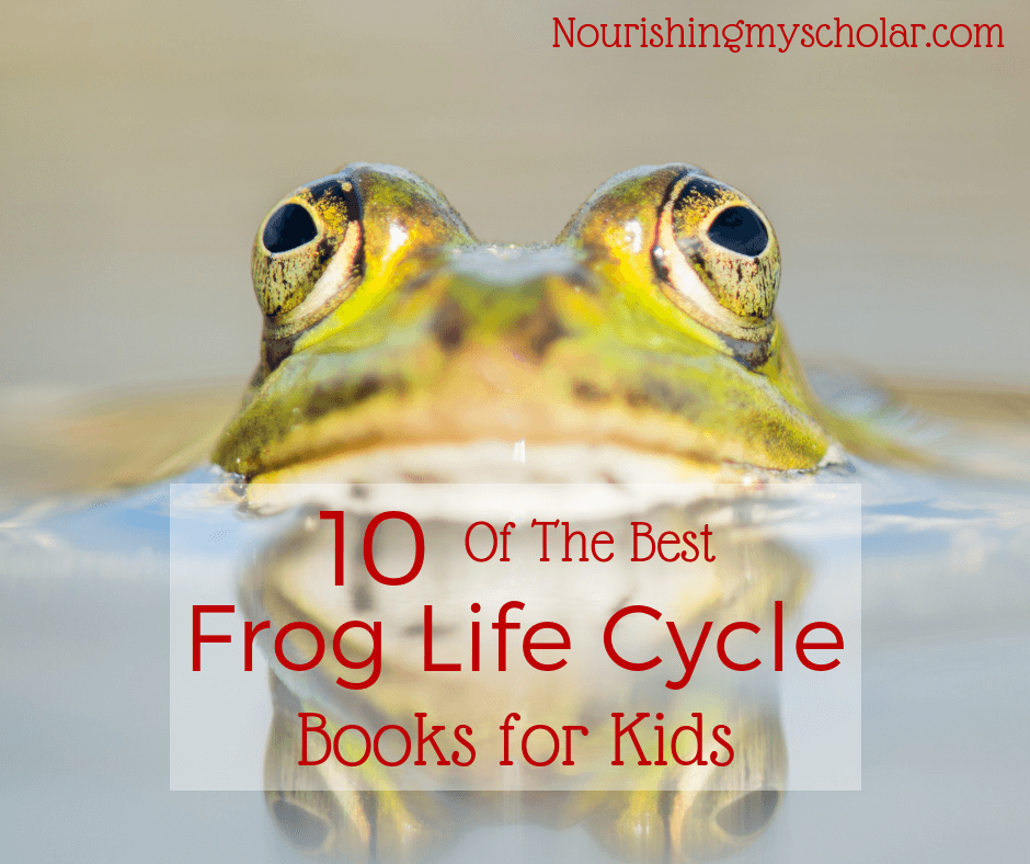 Erin_Vincent35's tweet photo. 10 of the Best Frog Life Cycle Books for Kids #frogs #froglifecycle #kidsbooks #childrensbooks #frogbooks #kidlit #ihsnet #homeschool #homeschooling https://t.co/TOvDEmnEGy https://t.co/VItzI2NOea