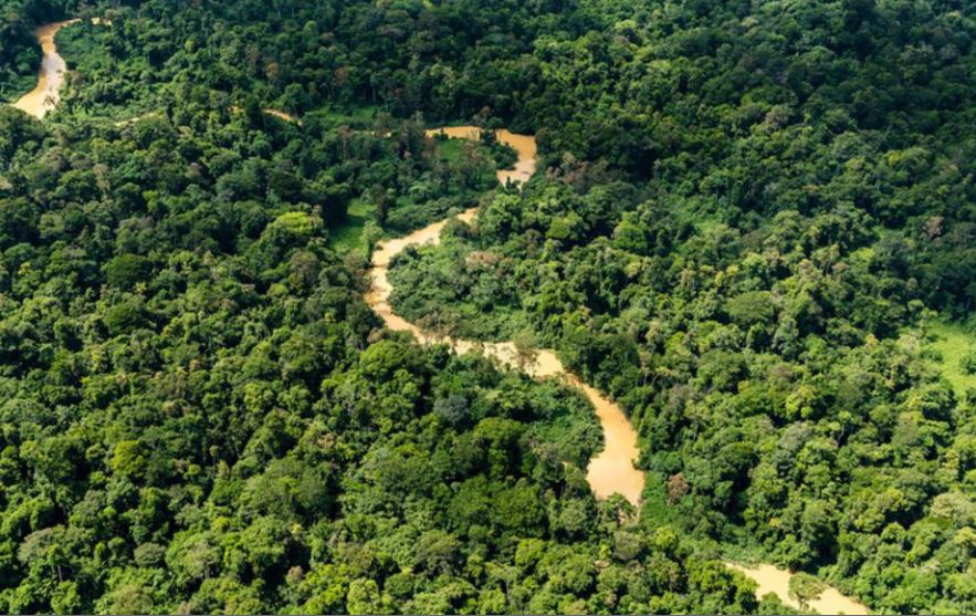 - La foret Amazonienne Lieu: Guyane, Amérique du sud