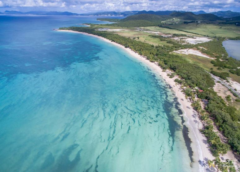 - La plage des SalinesLieu: Martinique, Antilles Françaises Sans doute la plage la plus célèbre de l'ile