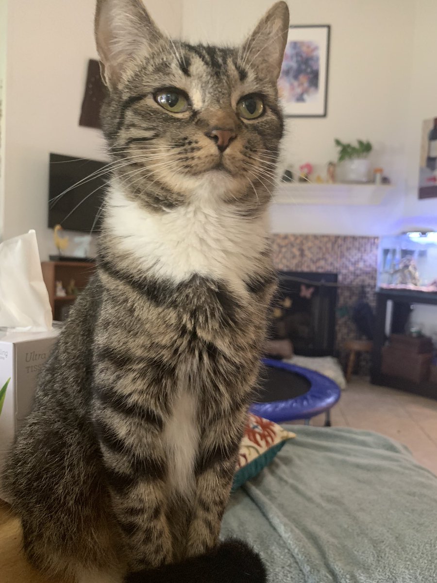 Ms. Beasley tweet media