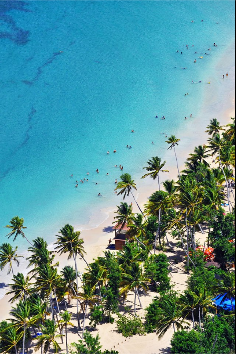 - La plage des SalinesLieu: Martinique, Antilles Françaises Sans doute la plage la plus célèbre de l'ile