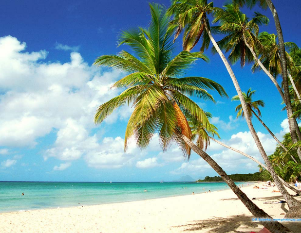 - La plage des SalinesLieu: Martinique, Antilles Françaises Sans doute la plage la plus célèbre de l& #39;ile