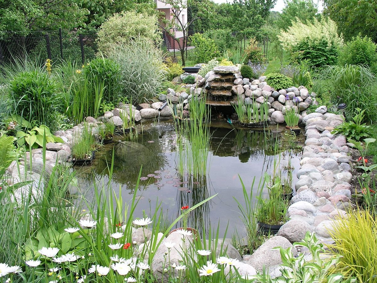 Irrigation ponds whose design is adapted to amphibians and reptiles, ancient canals with their own riparian vegetation, and garden ponds are ARTIFICIAL ECOSYSTEMS too. https://commons.wikimedia.org/wiki/File:Garden_pond_1.jpg