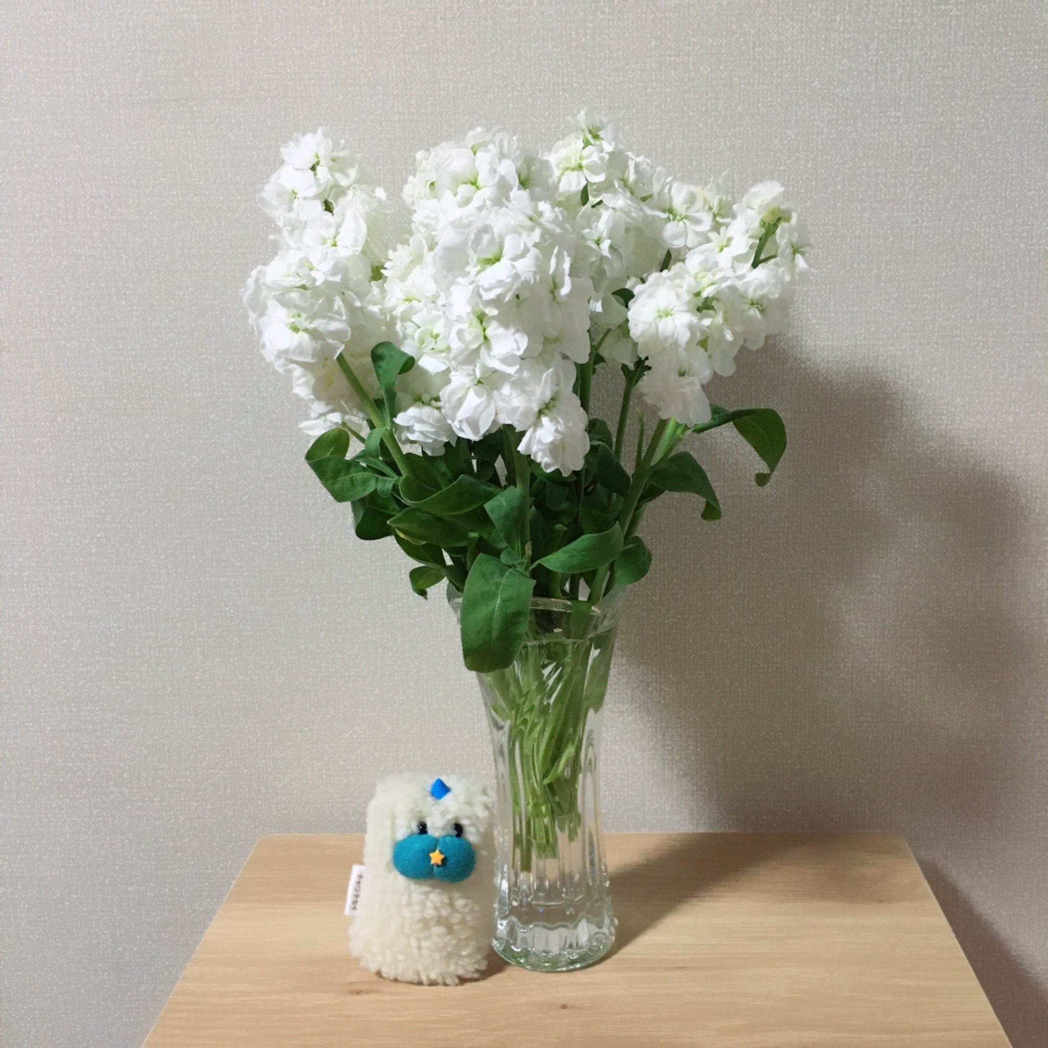 ﾁｬｳﾃｾｲ 9 17 ツノフェス ストックを短く切って花瓶に入れたので写真をとったつもりだったんですが ピャウェルがなんとも言えない表情をしてて拡大して笑った T Co Lfd7ba1oeu Twitter